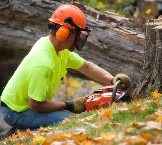 tree services Pineville